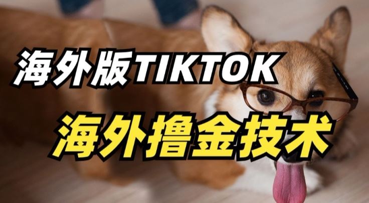 抖音海外版tiktok撸金技术,这个风口行业,赚钱真的不难【揭秘】-九才资源网