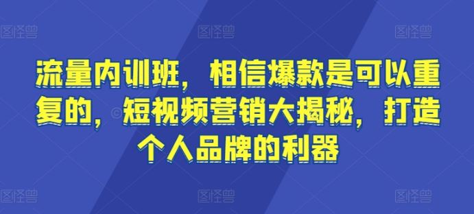 流量内训班,相信爆款是可以重复的,短视频营销大揭秘,打造个人品牌的利器-九才资源网
