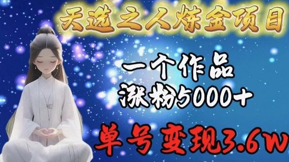 天选之人炼金项目,一个作品涨粉5000+,单号变现3.6w【揭秘】-九才资源网