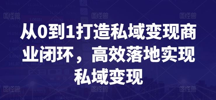 从0到1打造私域变现商业闭环,高效落地实现私域变现-九才资源网
