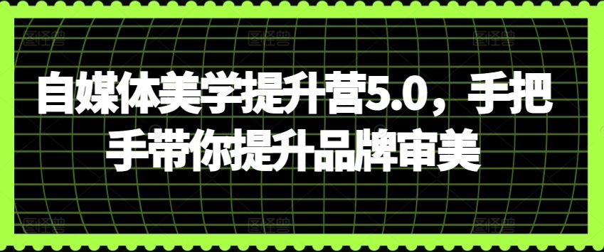 自媒体美学提升营5.0,手把手带你提升品牌审美-九才资源网
