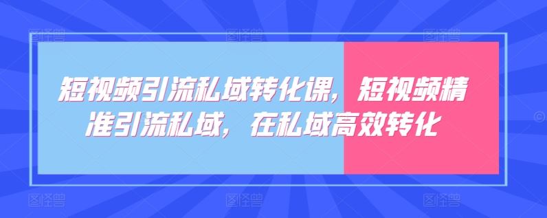 短视频引流私域转化课,短视频精准引流私域,在私域高效转化-九才资源网