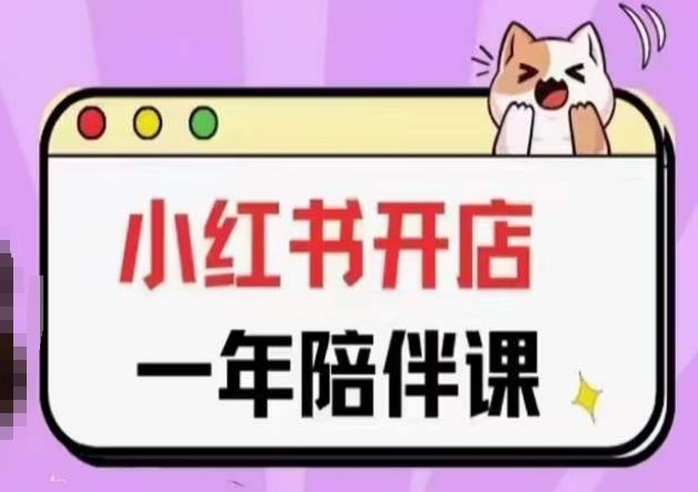 三九小红书开店一年陪伴课(更新),从0到1玩赚小红书开店-九才资源网