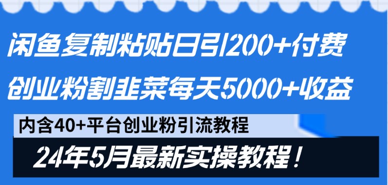 闲鱼复制粘贴日引200+付费创业粉,24年5月最新方法!割韭菜日稳定5000+收益-九才资源网