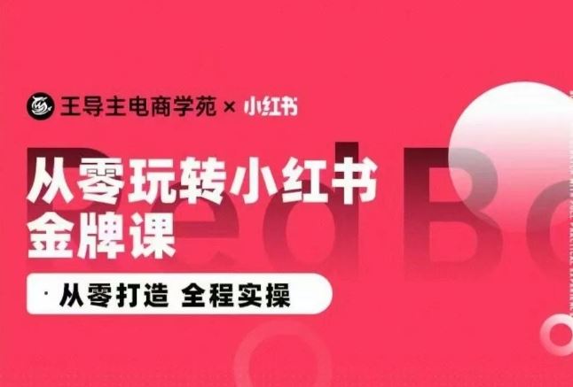 王导主·小红书电商运营实操课,从零打造 全程实操-九才资源网