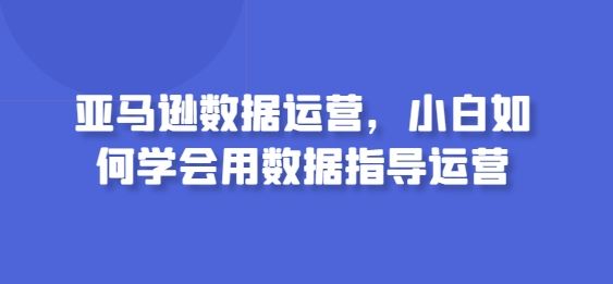 亚马逊数据运营,小白如何学会用数据指导运营-九才资源网