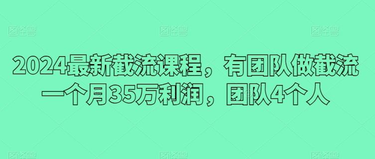 2024最新截流课程,有团队做截流一个月35万利润,团队4个人-九才资源网