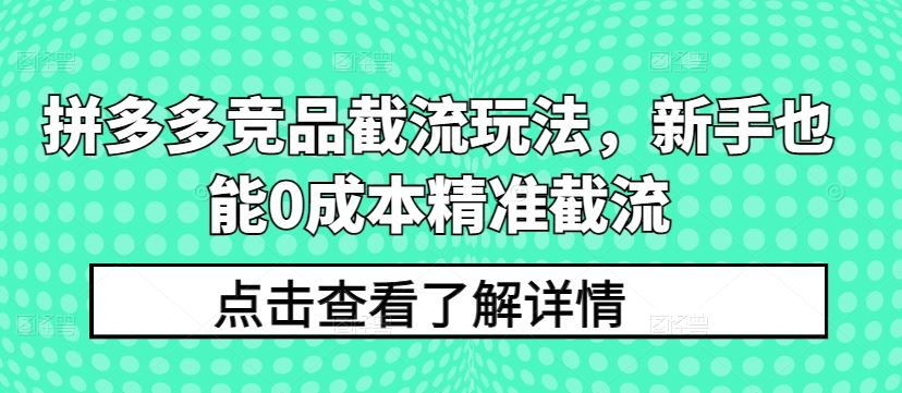 拼多多竞品截流玩法,新手也能0成本精准截流-九才资源网