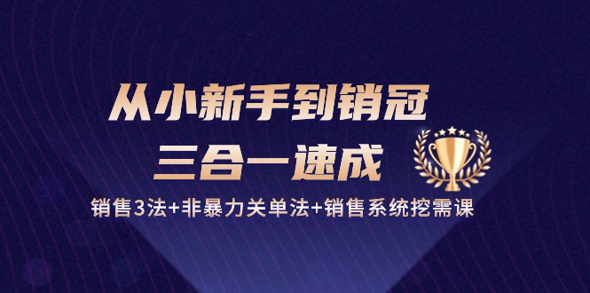 从小新手到销冠三合一速成:销售3法+非暴力关单法+销售系统挖需课 (27节)-九才资源网
