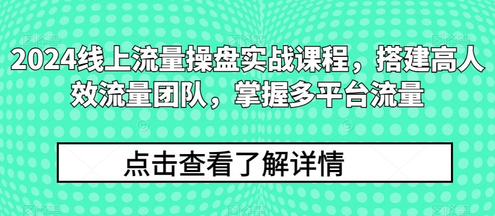 2024线上流量操盘实战课程,搭建高人效流量团队,掌握多平台流量-九才资源网
