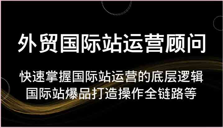 外贸国际站运营顾问-快速掌握国际站运营的底层逻辑,国际站爆品打造操作全链路等-九才资源网