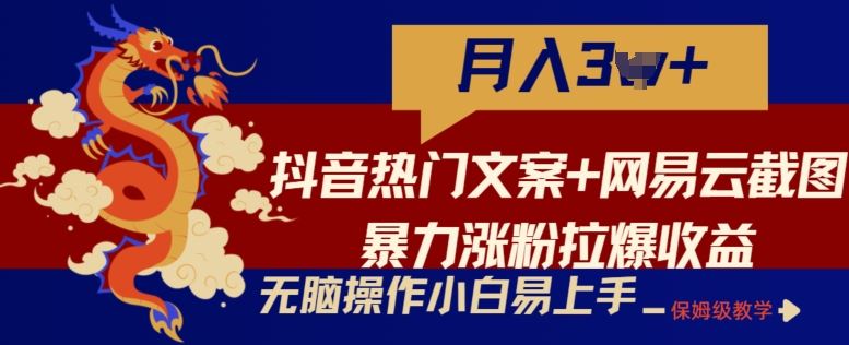 抖音热门文案+网易云截图暴力涨粉拉爆收益玩法,小白无脑操作,简单易上手【揭秘】-九才资源网