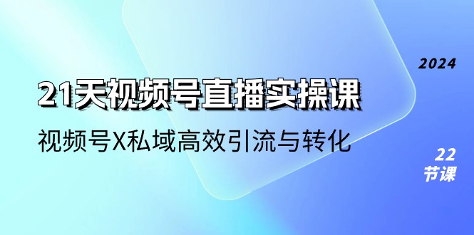 21天视频号直播实操课,视频号X私域高效引流与转化(22节课)-九才资源网
