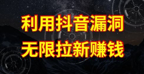 利用抖音链接漏洞,无限拉新赚钱【漏洞原理+操作流程】【揭秘】-九才资源网