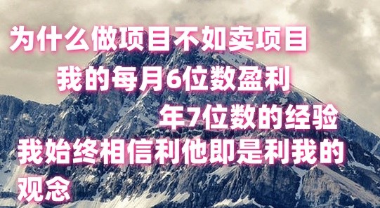 做项目不如卖项目,每月6位数盈利,年7位数经验-九才资源网