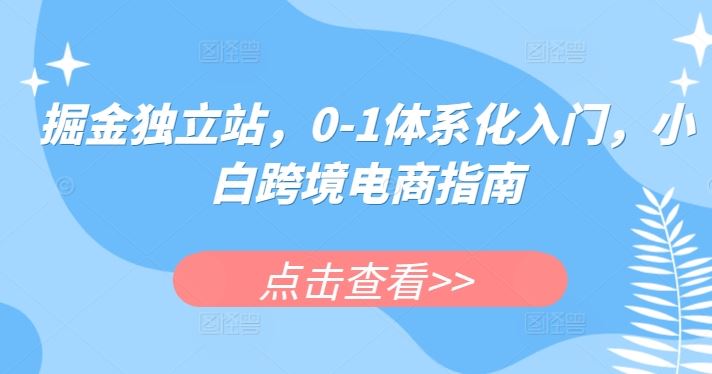 掘金独立站,0-1体系化入门,小白跨境电商指南-九才资源网