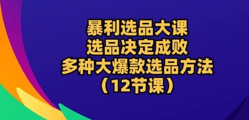 暴利选品大课:选品决定成败,教你多种大爆款选品方法(12节课)-九才资源网