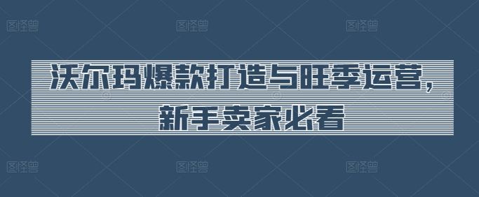 沃尔玛爆款打造与旺季运营,新手卖家必看-九才资源网