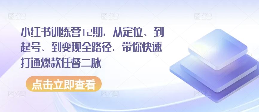 小红书训练营12期,从定位、到起号、到变现全路径,带你快速打通爆款任督二脉-九才资源网