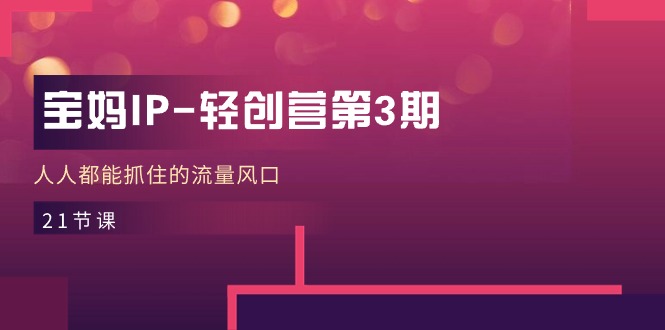 宝妈IP轻创营第3期,人人都能抓住的流量风口(21节课)-九才资源网