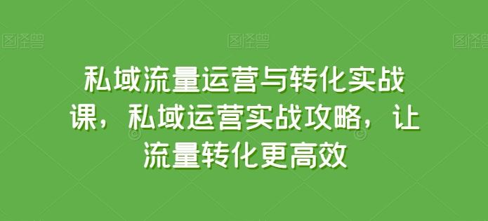 私域流量运营与转化实战课,私域运营实战攻略,让流量转化更高效-九才资源网