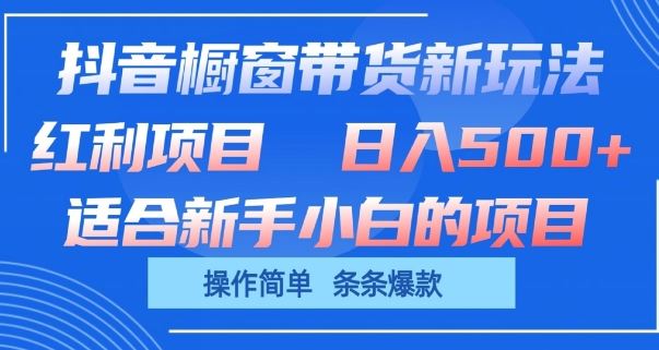抖音橱窗带货新玩法,单日收益几张,操作简单,条条爆款【揭秘】-九才资源网