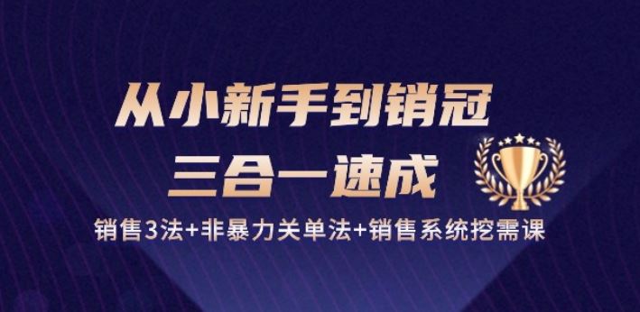 从小新手到销冠 三合一速成:销售3法+非暴力关单法+销售系统挖需课 (27节)-九才资源网