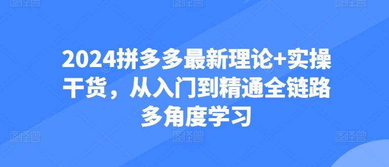 2024拼多多最新理论+实操干货,从入门到精通全链路多角度学习-九才资源网