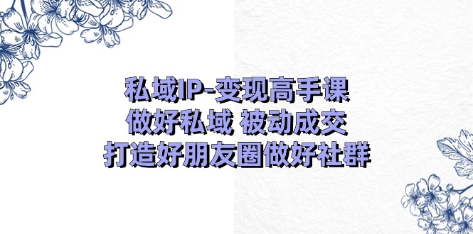私域IP变现高手课:做好私域被动成交,打造好朋友圈做好社群(18节)-九才资源网