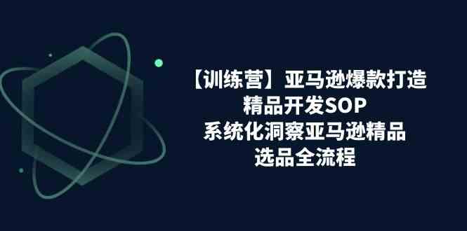 亚马逊爆款打造之精品开发SOP【训练营】,系统化洞察亚马逊精品选品全流程-九才资源网