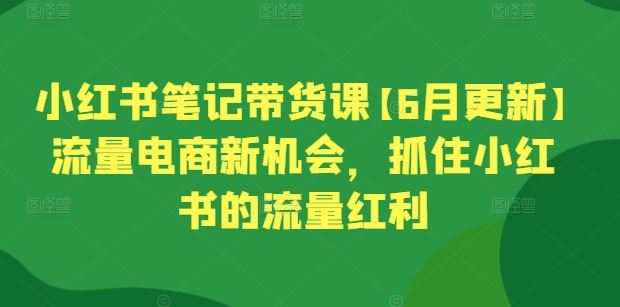 小红书笔记带货课【6月更新】流量电商新机会,抓住小红书的流量红利-九才资源网