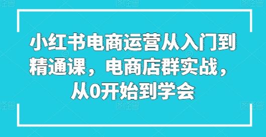 小红书电商运营从入门到精通课,电商店群实战,从0开始到学会-九才资源网