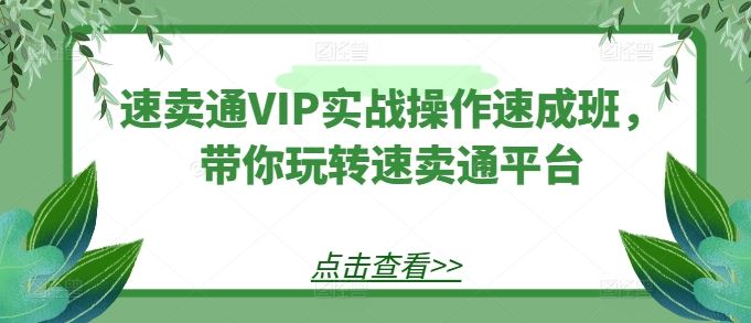 速卖通VIP实战操作速成班,带你玩转速卖通平台-九才资源网