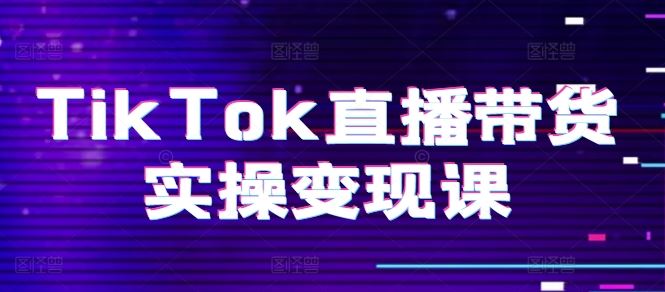 TikTok直播带货实操变现课:系统起号、科学复盘、变现链路、直播配置、小店操作流程、团队搭建等。-九才资源网