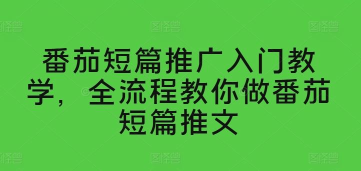 番茄短篇推广入门教学,全流程教你做番茄短篇推文-九才资源网