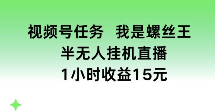 视频号任务,我是螺丝王, 半无人挂机1小时收益15元【揭秘】-九才资源网