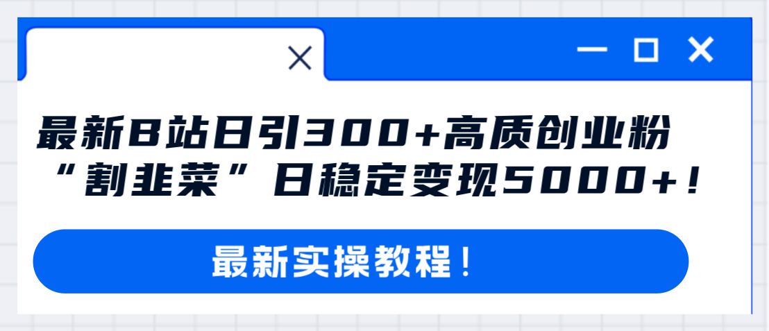 (8216期)最新B站日引300+高质创业粉教程!“割韭菜”日稳定变现5000+!-九才资源网