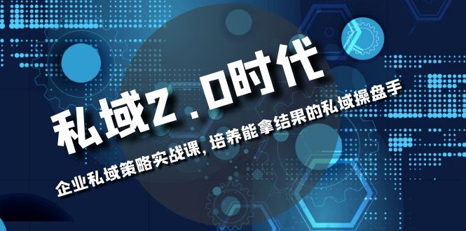 (8291期)私域-2.0时代:企业私域策略实战课,培养能拿结果的私域操盘手-九才资源网