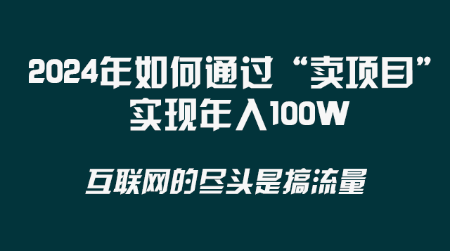 (8382期) 2024年如何通过“卖项目”实现年入100W-九才资源网