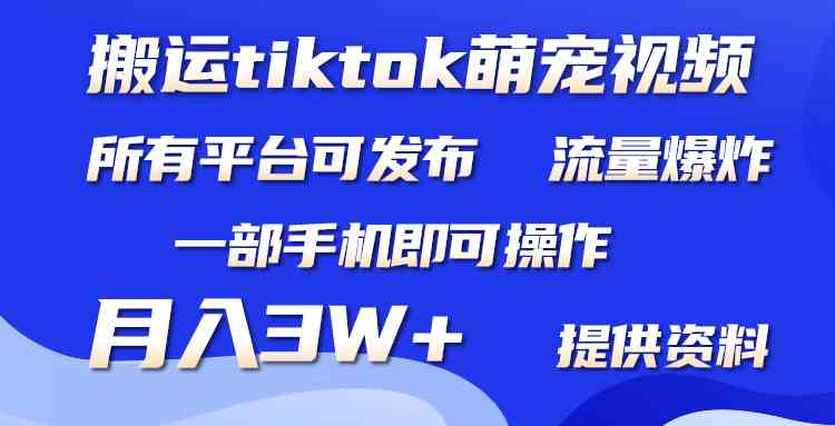 (9618期)搬运Tiktok萌宠类视频,一部手机即可。所有短视频平台均可操作,月入3W+-九才资源网