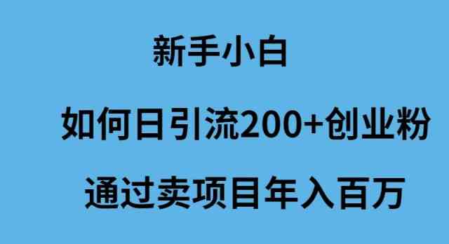 (9668期)新手小白如何日引流200+创业粉通过卖项目年入百万-九才资源网