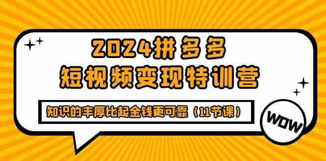 (9817期)2024拼多多短视频变现特训营,知识的丰厚比起金钱更可靠(11节课)-九才资源网