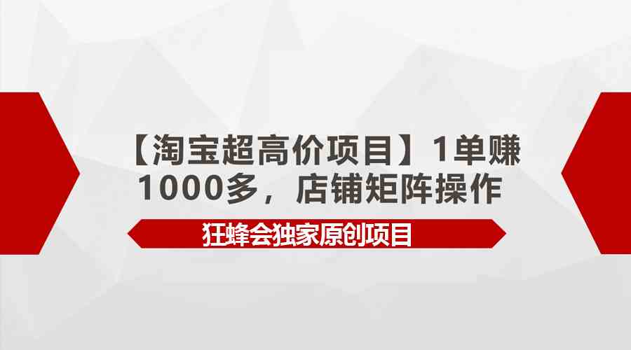 (9849期)【淘宝超高价项目】1单赚1000多,店铺矩阵操作-九才资源网