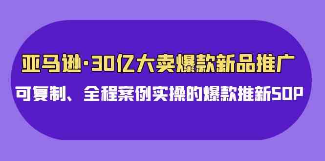 (9944期)亚马逊30亿·大卖爆款新品推广,可复制、全程案例实操的爆款推新SOP-九才资源网
