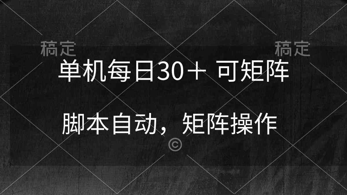 (10100期)单机每日30+ 可矩阵,脚本自动 稳定躺赚-九才资源网