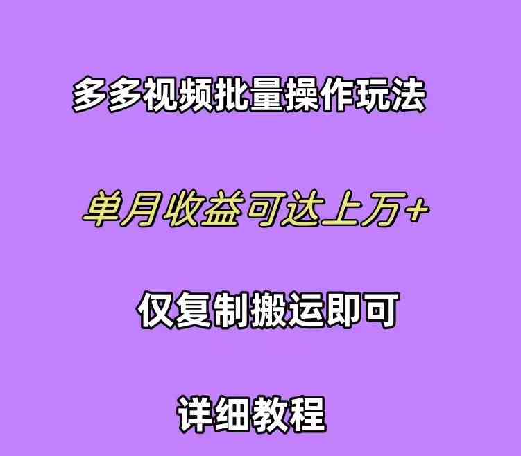 (10029期)拼多多视频带货快速过爆款选品教程 每天轻轻松松赚取三位数佣金 小白必…-九才资源网