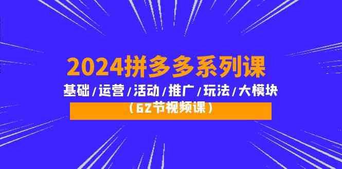 (10019期)2024拼多多系列课:基础/运营/活动/推广/玩法/大模块(62节视频课)-九才资源网
