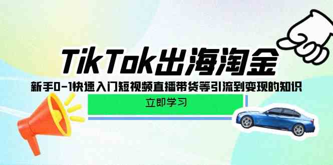 (10035期)TikTok-出海淘金,新手0-1快速入门短视频直播带货等引流到变现的知识-九才资源网