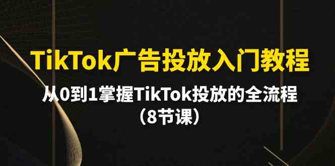 (10085期)TikTok广告投放入门教程,从0到1掌握TikTok投放的全流程(8节课)-九才资源网