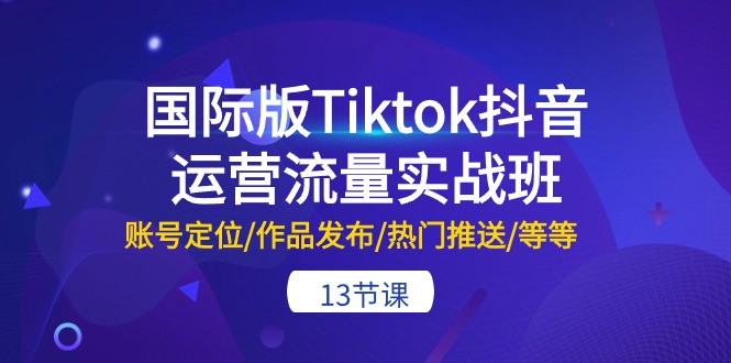 (10712期)国际版Tiktok抖音运营流量实战班:账号定位/作品发布/热门推送/等等-13节-九才资源网